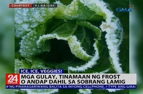 weather today benguet|Frost hits Benguet town .